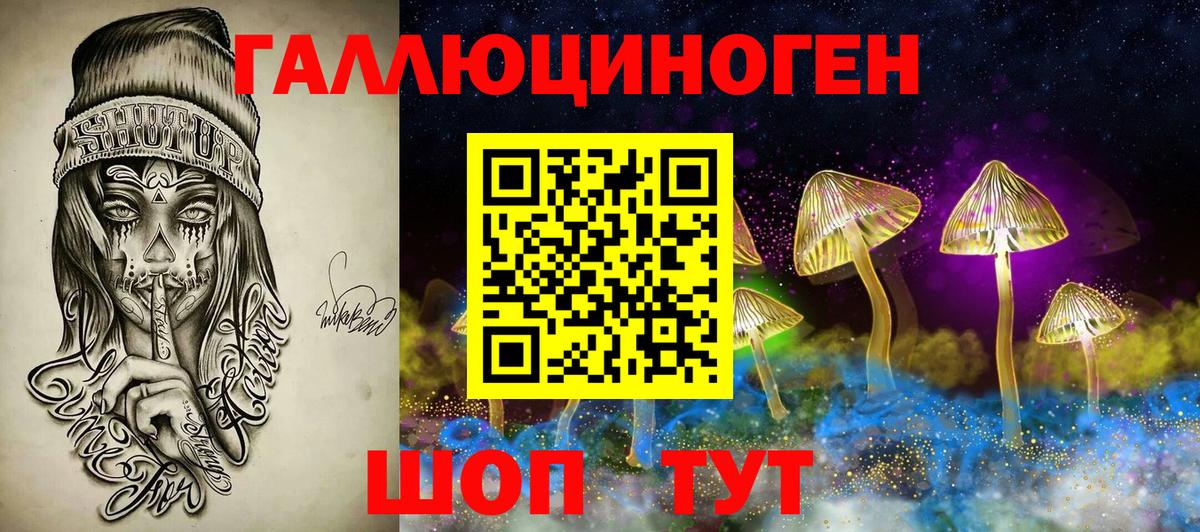 Псилоцибиновые грибы Cubensis Димитровград